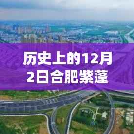 犯而不校 第3页