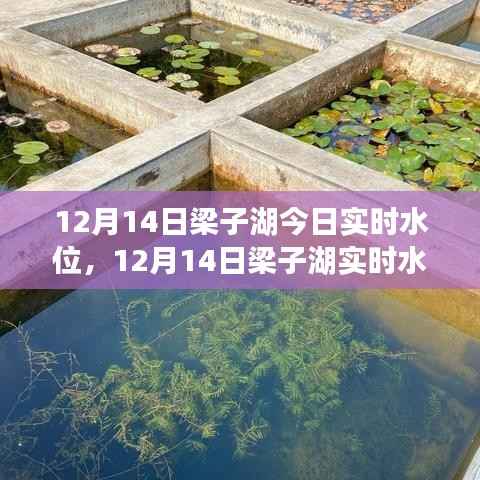 狐假虎威 第2页