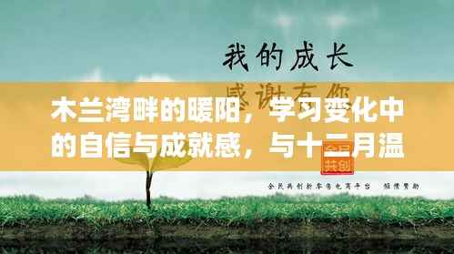 木兰湾畔暖阳下的学习之旅，自信与成就感的温暖相伴十二月