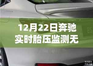 臼灶生蛙 第2页