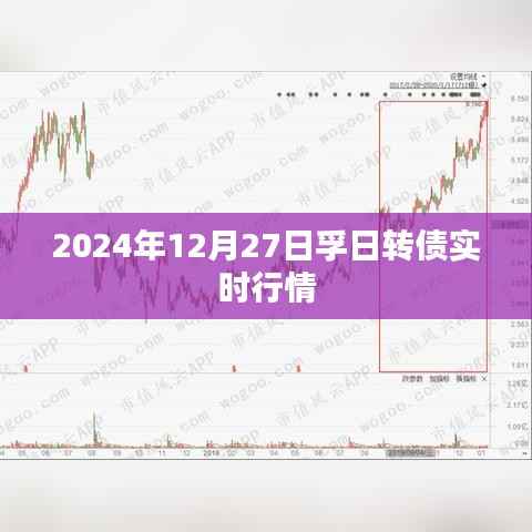 孚日转债最新实时行情（日期，2024年12月27日）