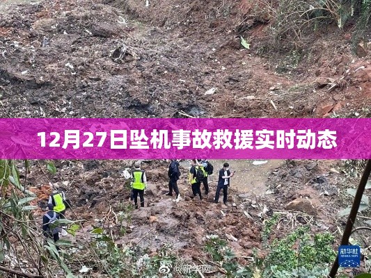 下马看花 第2页