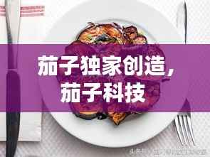 茄子独家创造，茄子科技 