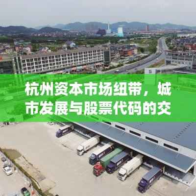 杭州资本市场纽带，城市发展与股票代码的交融之旅