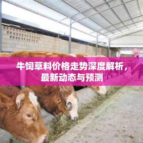 改弦易张 第2页