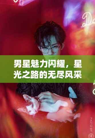 男星魅力闪耀，星光之路的无尽风采