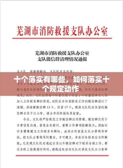 十个落实有哪些，如何落实十个规定动作 