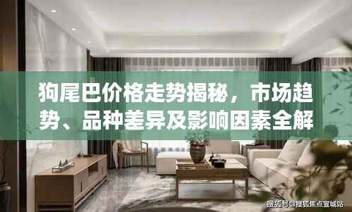 狗尾巴价格走势揭秘，市场趋势、品种差异及影响因素全解析