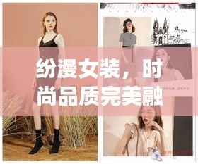 纷漫女装，时尚品质完美融合，价格亲民！
