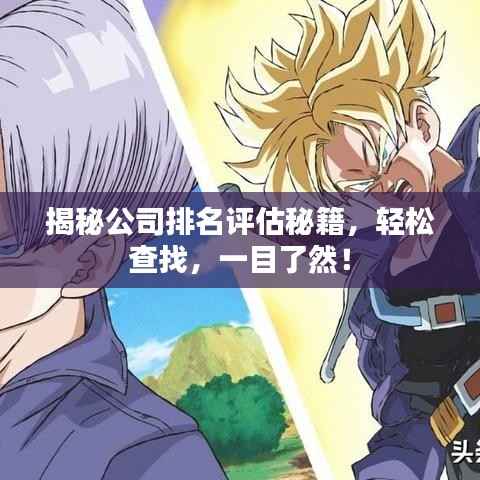 揭秘公司排名评估秘籍，轻松查找，一目了然！