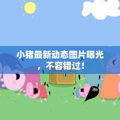 小猪最新动态图片曝光，不容错过！