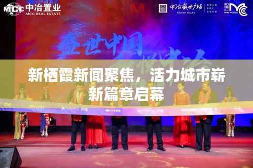 新栖霞新闻聚焦，活力城市崭新篇章启幕