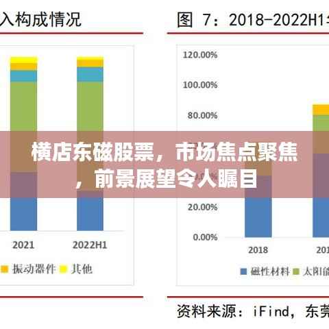 横店东磁股票，市场焦点聚焦，前景展望令人瞩目