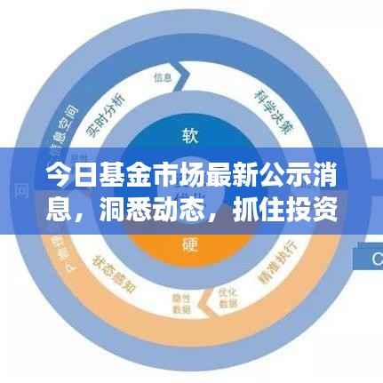 今日基金市场最新公示消息，洞悉动态，抓住投资机遇！